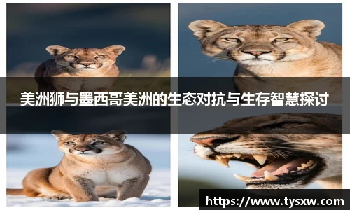 美洲狮与墨西哥美洲的生态对抗与生存智慧探讨